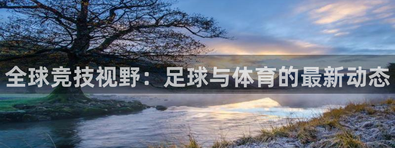全球竞技视野：足球与体育的最新动态